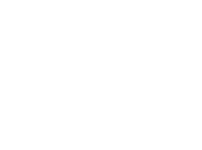 Bert Frank Logo